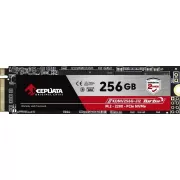 SSD M.2 NVMe Keepdata Turbo 256GB (KDNV256G-J12)