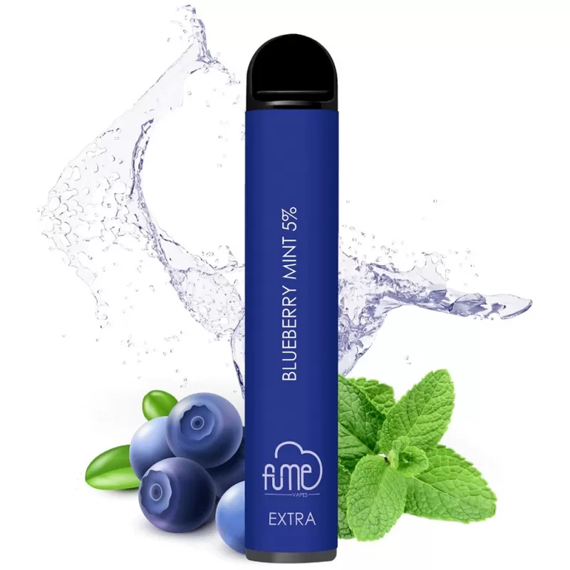 Vaper Descartable Fume Extra 5% Nicotina 1500 Puffs - Blueberry Mint